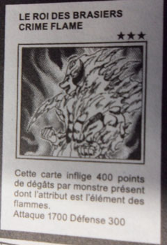 Carte Yu-Gi-Oh! 5 D's crime flame