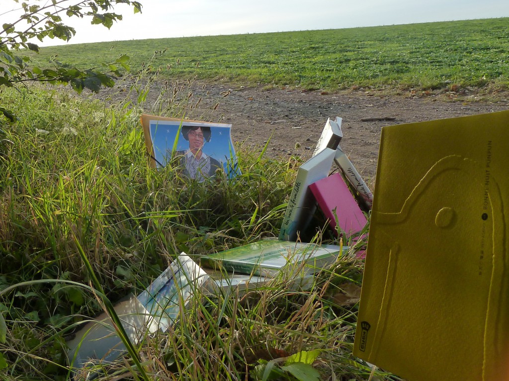 punpun-en-vadrouille-1